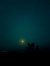 Night landscape on the beach with the moon and the silhouette of some palm trees Royalty Free Stock Photo