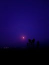 Night landscape on the beach with the moon and the silhouette of some palm trees Royalty Free Stock Photo