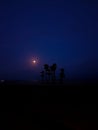 Night landscape on the beach with the moon and the silhouette of some palm trees Royalty Free Stock Photo