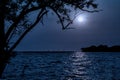 Night landscape. Beach by the sea with tree and full moon., the Royalty Free Stock Photo