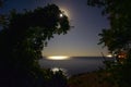 Night landscape on the black sea with full moon in the sky. View from the forest through the branches Royalty Free Stock Photo
