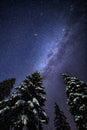 Night landscape with colorful Milky Way above the dark forest in Russia. Beautiful Universe. Space background Royalty Free Stock Photo