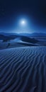 night landscape of dessert with moon light Royalty Free Stock Photo