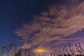 Night landscape with herbs, stars and clouds Royalty Free Stock Photo