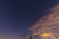 Night landscape with herbs, stars and clouds Royalty Free Stock Photo