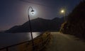 Night landscape with lamps near the road, mountains, sea and moon