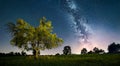 Night landscape with a lit tree and the Milky Way