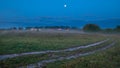 Night landscape with moon and idyllic road