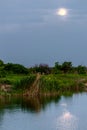 night landscape with moon and moonbeam in river Royalty Free Stock Photo