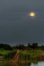 night landscape with moon and moonbeam in river Royalty Free Stock Photo