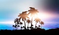 Night landscape with palm trees, against the backdrop of a neon sunset, stars. Silhouette coconut palm trees on beach at sunset. Royalty Free Stock Photo