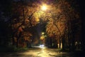 Night landscape in the park with trees alley
