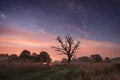 Night landscape with path under stars Royalty Free Stock Photo