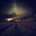 Night Landscape with Red Tulips Royalty Free Stock Photo