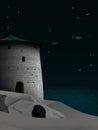 Night landscape with restored fortress on the shore and birds over the sea Royalty Free Stock Photo
