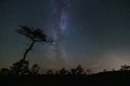 Night landscape at the Seli swamp, starry sky and milky way Royalty Free Stock Photo