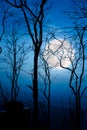 Night landscape of sky with bright super moon behind silhouette Royalty Free Stock Photo