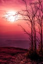 Night landscape of sky with bright super moon behind silhouette Royalty Free Stock Photo