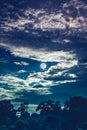 Night landscape of sky with dark cloudy and full moon above silhouettes of trees in forest. Serenity nature background in gloaming