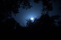 Night landscape of sky and super moon with bright moonlight behind silhouette of tree branch. Serenity nature background. Outdoors Royalty Free Stock Photo