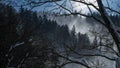 Night landscape of snow storm or blizzard over mountains with forest. Winter landscape, cold weather, blizzard and storm Royalty Free Stock Photo