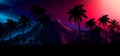 Night landscape with stars, sunset, stars. Silhouette coconut palm trees Royalty Free Stock Photo