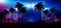 Night landscape with stars, sunset, stars. Silhouette coconut palm trees Royalty Free Stock Photo