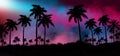 Night landscape with stars, sunset, stars. Silhouette coconut palm trees Royalty Free Stock Photo