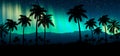 Night landscape with stars, sunset, stars. Silhouette coconut palm trees Royalty Free Stock Photo