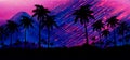 Night landscape with stars, sunset, stars. Silhouette coconut palm trees Royalty Free Stock Photo