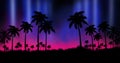 Night landscape with stars, sunset, stars. Silhouette coconut palm trees Royalty Free Stock Photo