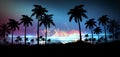 Night landscape with stars, sunset, stars. Silhouette coconut palm trees Royalty Free Stock Photo