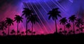 Night landscape with stars, sunset, stars. Silhouette coconut palm trees Royalty Free Stock Photo