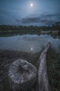 Night Landscape. Stump By the Lake.