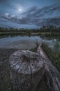 Night Landscape. Stump By the Lake.