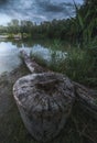 Night Landscape. Stump By the Lake.