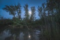 Night Landscape. Stump By the Marsh.