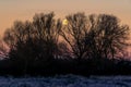 Night landscape at sunset with silhouette of tall trees and a big full moon in the golden sky, frozen ground from the cold of Royalty Free Stock Photo