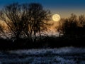 Night landscape at sunset with silhouette of tall trees and a big full moon in the golden sky, frozen ground from the cold of Royalty Free Stock Photo