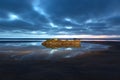 Night Landscape on Torrey Pines State Beach Nature Preserve San Diego California Royalty Free Stock Photo