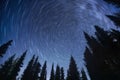 Night landscape with traces of the stars in the night sky on background of a dark forest Royalty Free Stock Photo