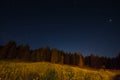 Night landscape under starlight Royalty Free Stock Photo