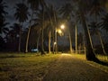 Night light with coconut tree Royalty Free Stock Photo