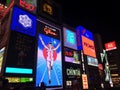 Night Light Dotonbori Osaka Kansai Japan Travel