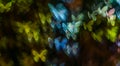 Night lights bokeh butterfly shape, defocused bokeh lights, blur Royalty Free Stock Photo