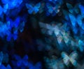 Night lights bokeh butterfly shape, defocused bokeh lights, blur Royalty Free Stock Photo