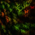 Night lights bokeh butterfly shape, defocused bokeh lights, blur Royalty Free Stock Photo