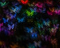 Night lights bokeh butterfly shape, defocused bokeh lights, blur Royalty Free Stock Photo