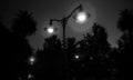 The night lights and halos, the blurred light and the dark sky, Royalty Free Stock Photo