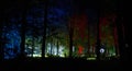 Night lights show `Inspiration` in Ostankino garden city park. Hundreds of lights in the forest. Amazing 3d light and laser illumi